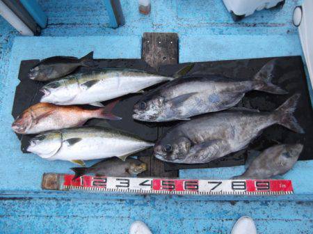 海宝丸 釣果