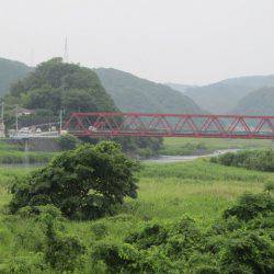 狩野川(狩野川漁業協同組合) 釣果