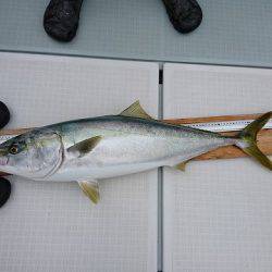 フィッシングボートACE（エース） 釣果