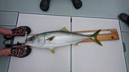 フィッシングボートACE（エース） 釣果