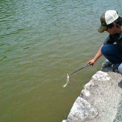 フィッシングエリア帝釈 釣果