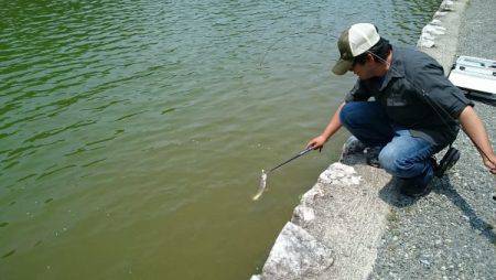 フィッシングエリア帝釈 釣果