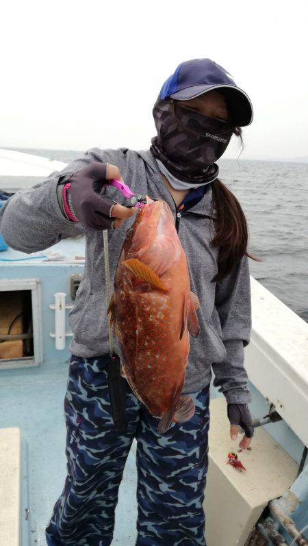 リトルワン 釣果