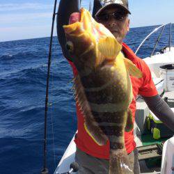 Blue.win 海人丸 釣果