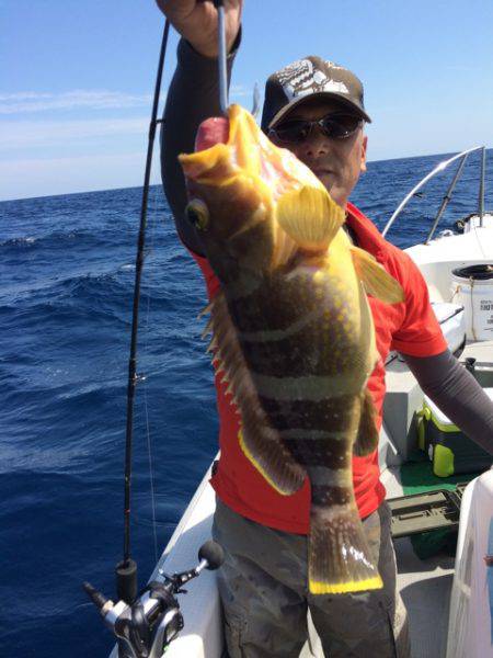 Blue.win 海人丸 釣果