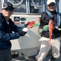 第二明康丸 釣果