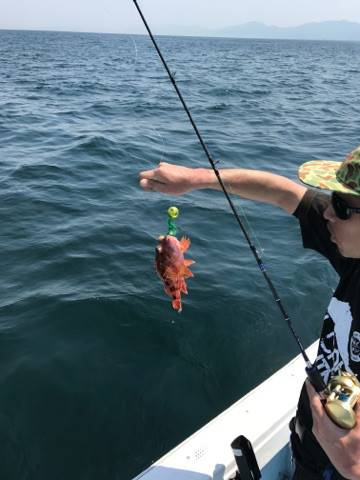 海琉 釣果