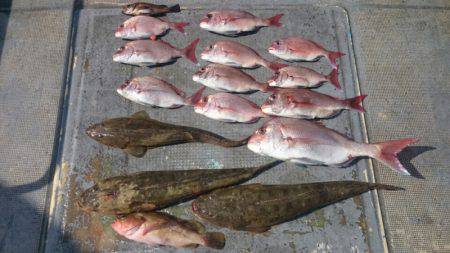 FISHING RISKY 釣果