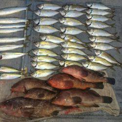 FISHING RISKY 釣果