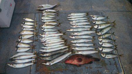 FISHING RISKY 釣果