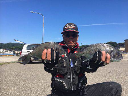 由良渡船 釣果