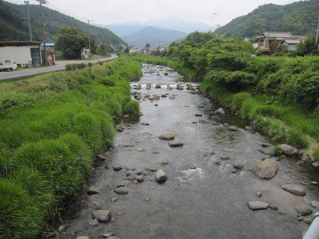 狩野川(狩野川漁業協同組合) 釣果
