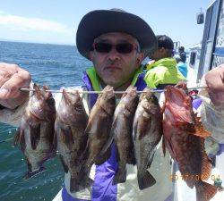 石川丸 釣果