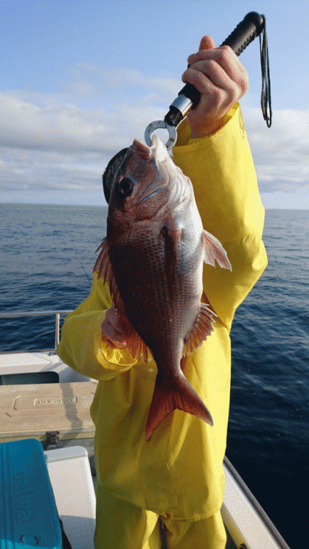 遊漁船ブルーウッズ 釣果