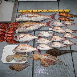 sea boss　シーボス 釣果