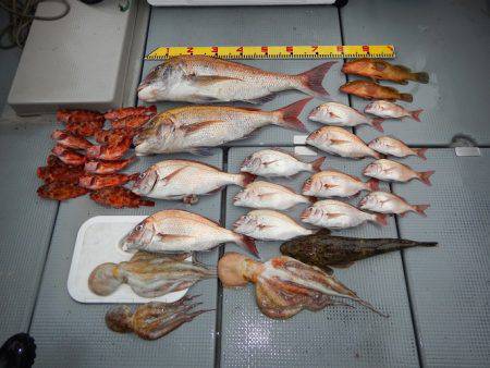 sea boss　シーボス 釣果