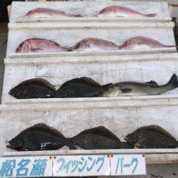 松名瀬フィッシングパーク 釣果