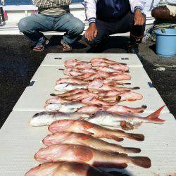 オーフリー 釣果