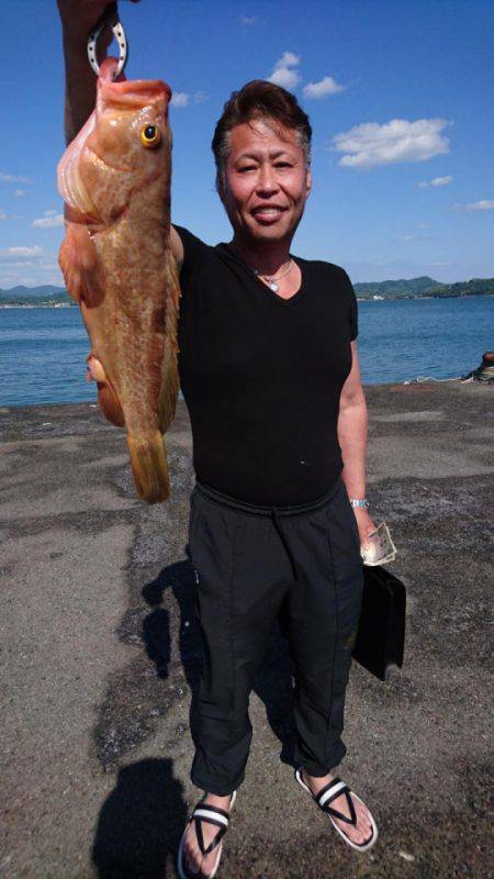 オーフリー 釣果