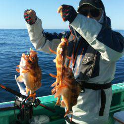 モンロー号 釣果