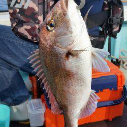 天童丸 釣果