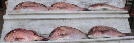 松名瀬フィッシングパーク 釣果