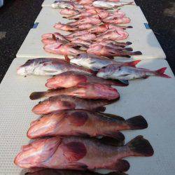 オーフリー 釣果