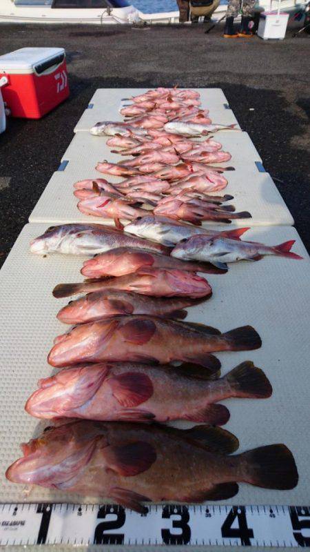 オーフリー 釣果