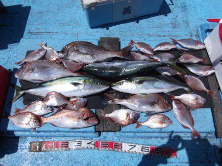 海宝丸 釣果