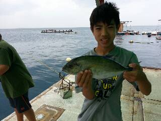 本部釣りイカダ 釣果