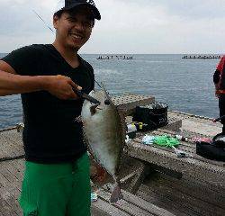 本部釣りイカダ 釣果