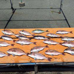 松名瀬フィッシングパーク 釣果