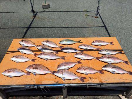 松名瀬フィッシングパーク 釣果