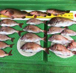 利弥丸（としやまる） 釣果