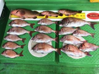 利弥丸（としやまる） 釣果