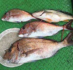 利弥丸（としやまる） 釣果