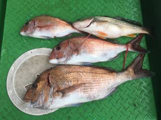 利弥丸（としやまる） 釣果