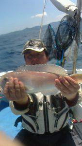 桃太郎丸 釣果