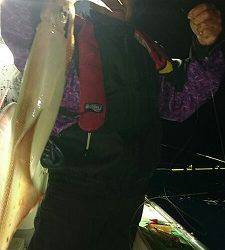 海龍丸（福岡） 釣果