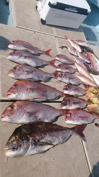 旭星釣りセンター 釣果