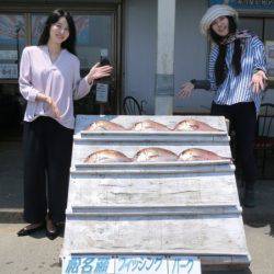 松名瀬フィッシングパーク 釣果