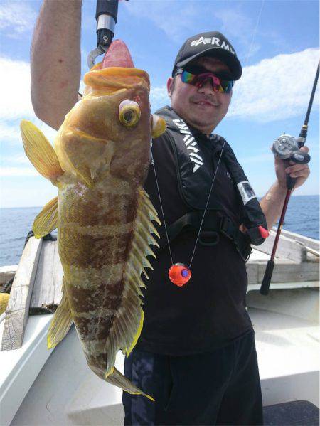 マタウマリンサービス 釣果