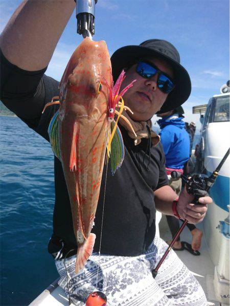 マタウマリンサービス 釣果