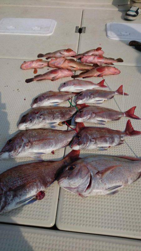 オーフリー 釣果