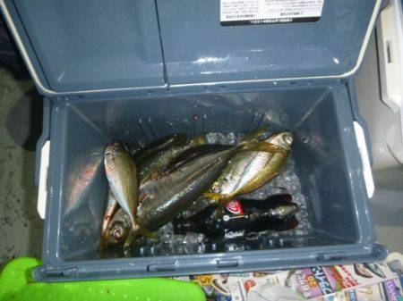 宝政丸 釣果