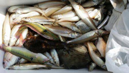 オーフリー 釣果