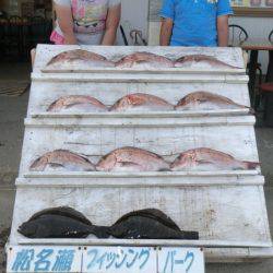 松名瀬フィッシングパーク 釣果