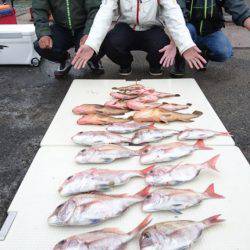 オーフリー 釣果