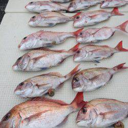 オーフリー 釣果