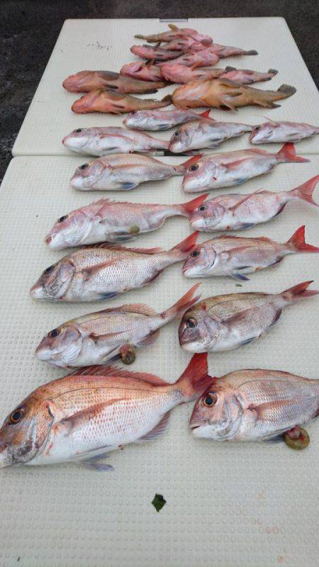 オーフリー 釣果